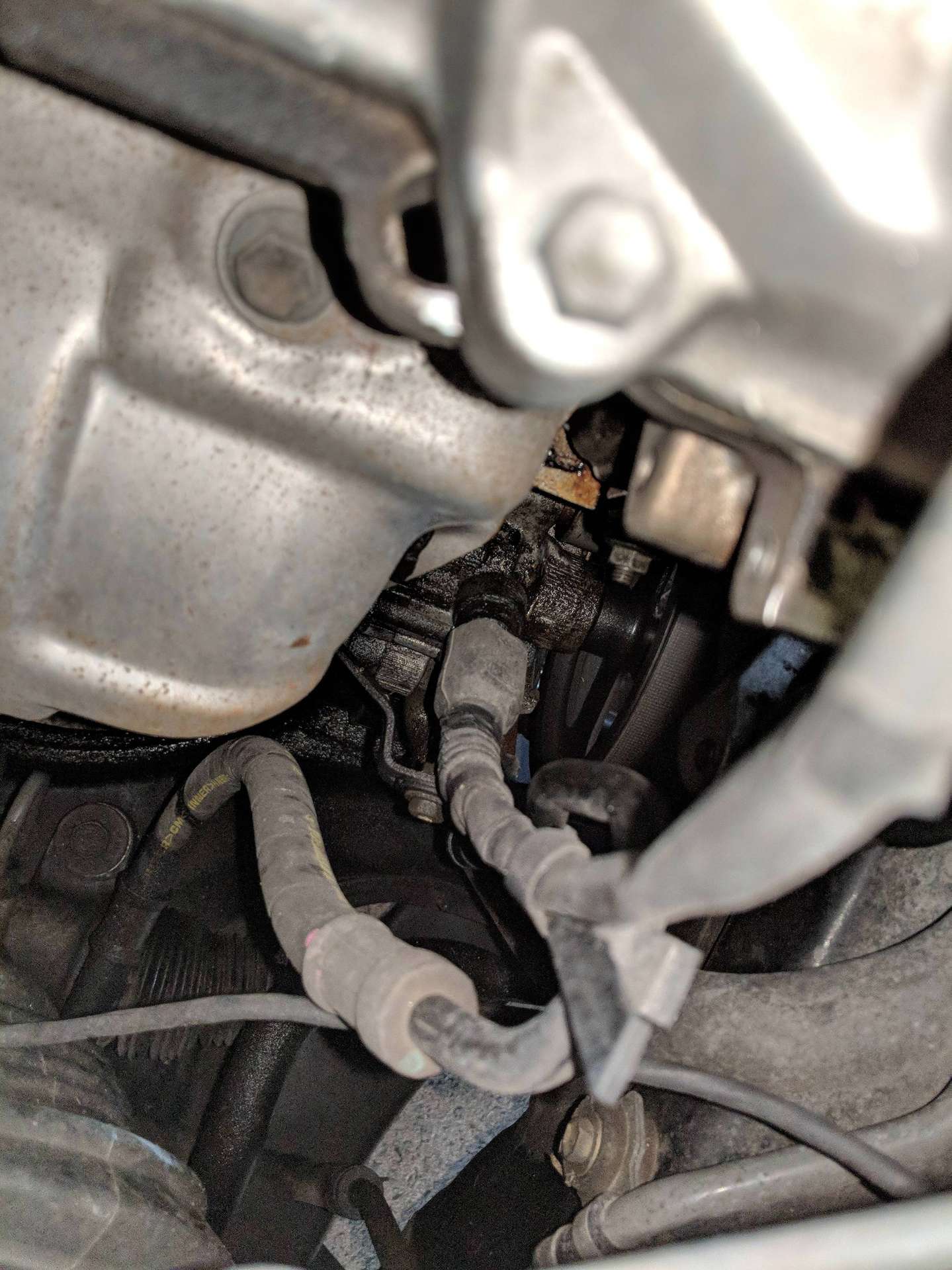 Oil Leak 2001 Celica GTS - Celica Hobby