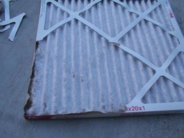 cabin-air-filter-replace-017