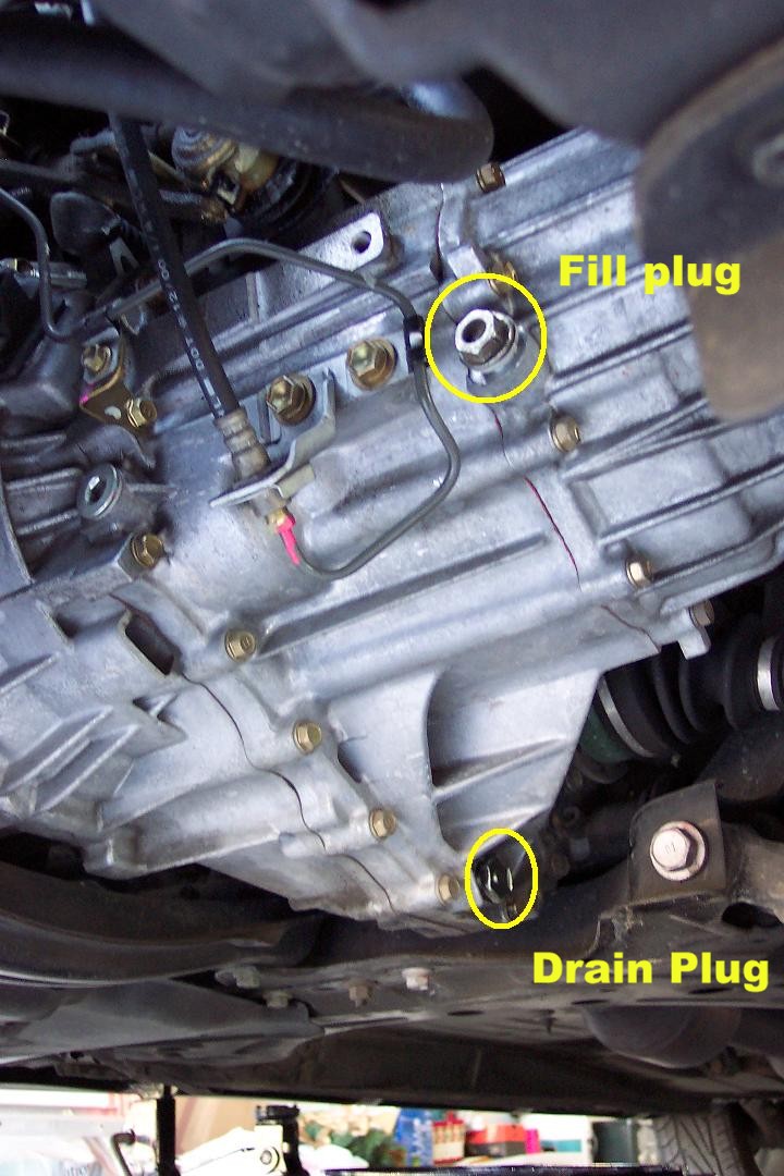 audi 6 speed manual transmission oil